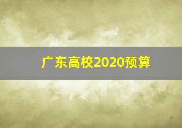 广东高校2020预算