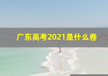 广东高考2021是什么卷