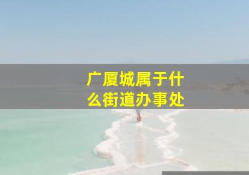 广厦城属于什么街道办事处