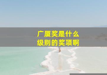 广厦奖是什么级别的奖项啊