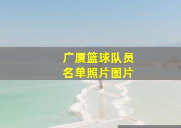 广厦篮球队员名单照片图片