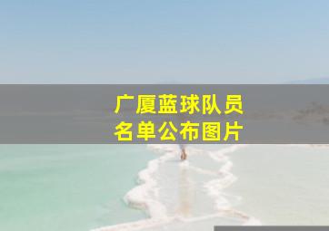 广厦蓝球队员名单公布图片