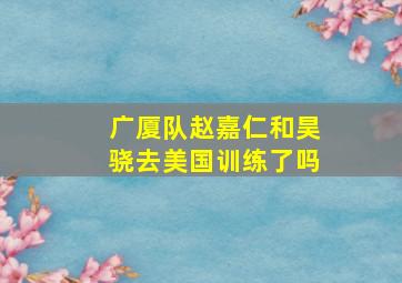 广厦队赵嘉仁和昊骁去美国训练了吗