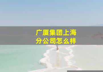 广厦集团上海分公司怎么样