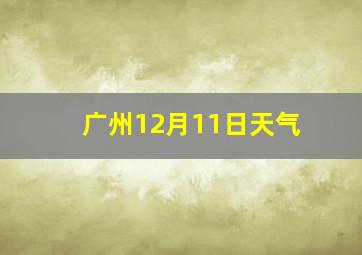 广州12月11日天气