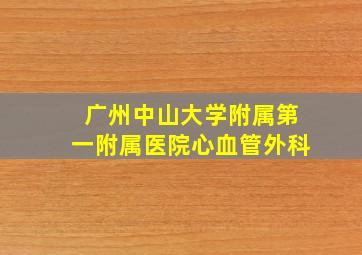 广州中山大学附属第一附属医院心血管外科