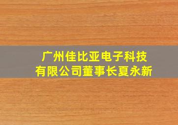 广州佳比亚电子科技有限公司董事长夏永新