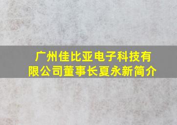 广州佳比亚电子科技有限公司董事长夏永新简介