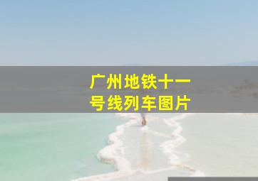 广州地铁十一号线列车图片