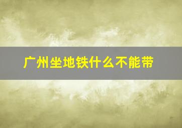 广州坐地铁什么不能带