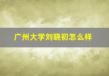 广州大学刘晓初怎么样