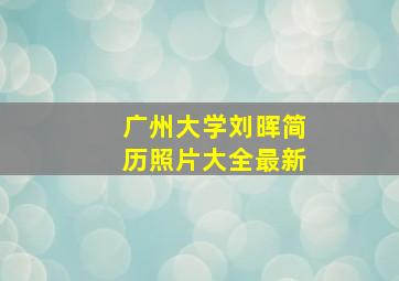 广州大学刘晖简历照片大全最新