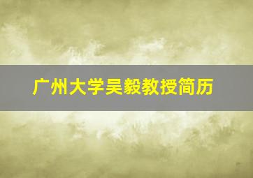 广州大学吴毅教授简历