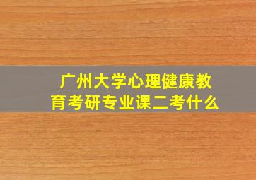 广州大学心理健康教育考研专业课二考什么