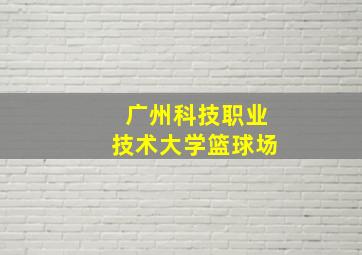 广州科技职业技术大学篮球场