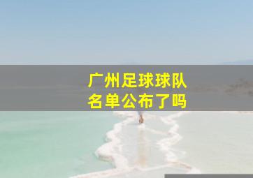 广州足球球队名单公布了吗