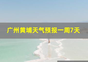 广州黄埔天气预报一周7天