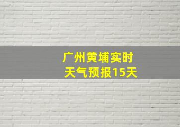 广州黄埔实时天气预报15天