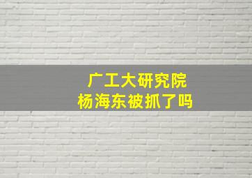 广工大研究院杨海东被抓了吗