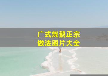 广式烧鹅正宗做法图片大全