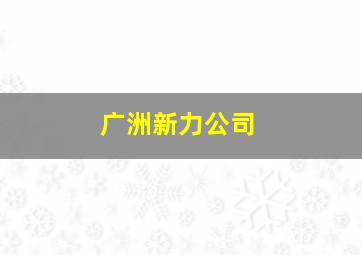 广洲新力公司