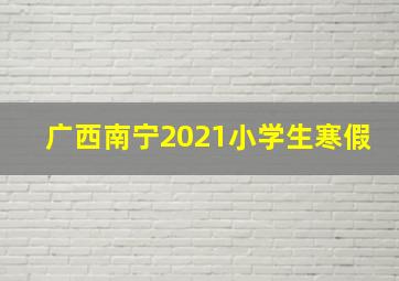 广西南宁2021小学生寒假