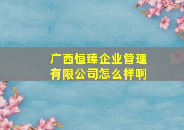 广西恒臻企业管理有限公司怎么样啊