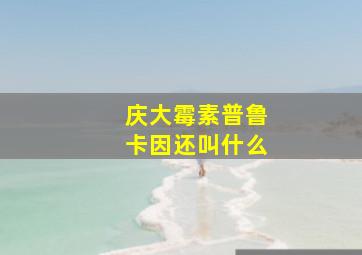 庆大霉素普鲁卡因还叫什么