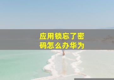 应用锁忘了密码怎么办华为