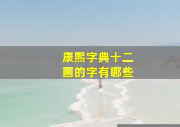 康熙字典十二画的字有哪些