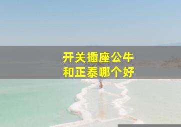 开关插座公牛和正泰哪个好