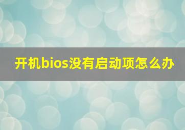 开机bios没有启动项怎么办