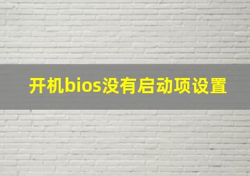 开机bios没有启动项设置