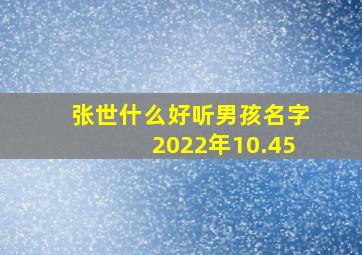 张世什么好听男孩名字2022年10.45