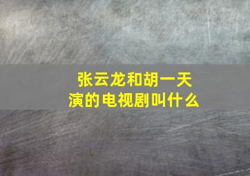 张云龙和胡一天演的电视剧叫什么