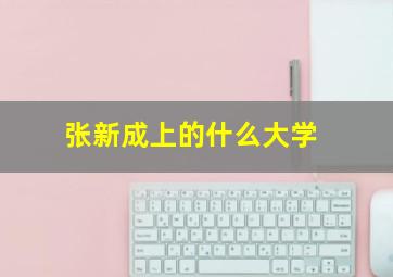 张新成上的什么大学