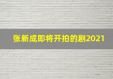 张新成即将开拍的剧2021