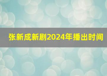 张新成新剧2024年播出时间