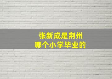 张新成是荆州哪个小学毕业的