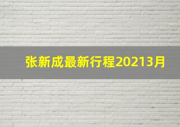 张新成最新行程20213月