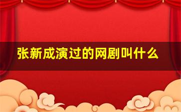 张新成演过的网剧叫什么