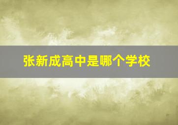 张新成高中是哪个学校