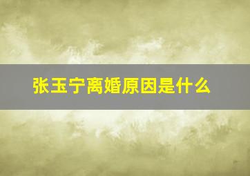 张玉宁离婚原因是什么