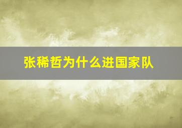 张稀哲为什么进国家队