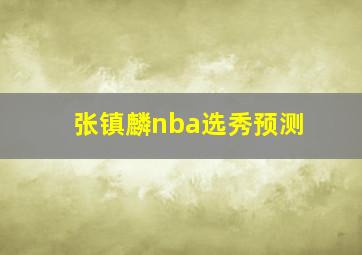 张镇麟nba选秀预测