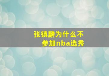 张镇麟为什么不参加nba选秀