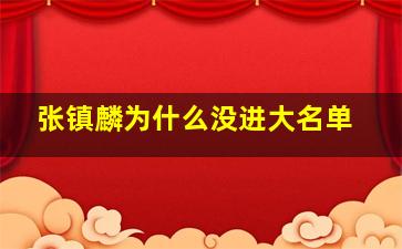 张镇麟为什么没进大名单