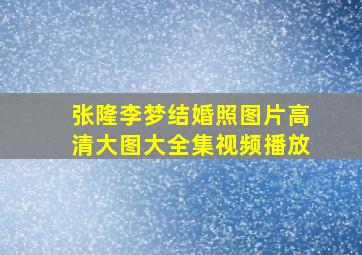 张隆李梦结婚照图片高清大图大全集视频播放