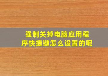 强制关掉电脑应用程序快捷键怎么设置的呢