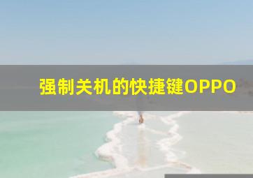 强制关机的快捷键OPPO